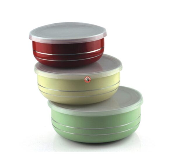 Colored Round Lid Bowl