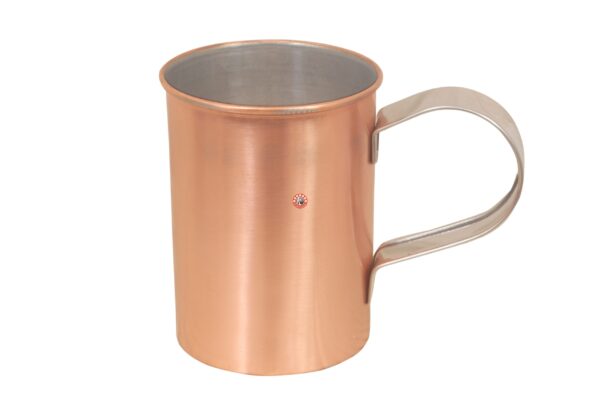 SS Mug - Copper Coated Outside